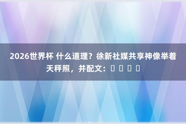 2026世界杯 什么道理？徐新社媒共享神像举着天秤照，并配文：❌❌❌❌