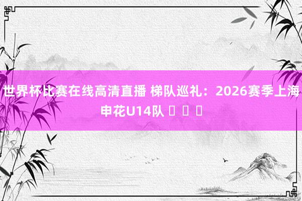 世界杯比赛在线高清直播 梯队巡礼：2026赛季上海申花U14队 ​​​