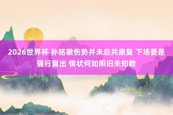 2026世界杯 孙铭徽伤势并未总共康复 下场要是强行复出 情状何如照旧未知数