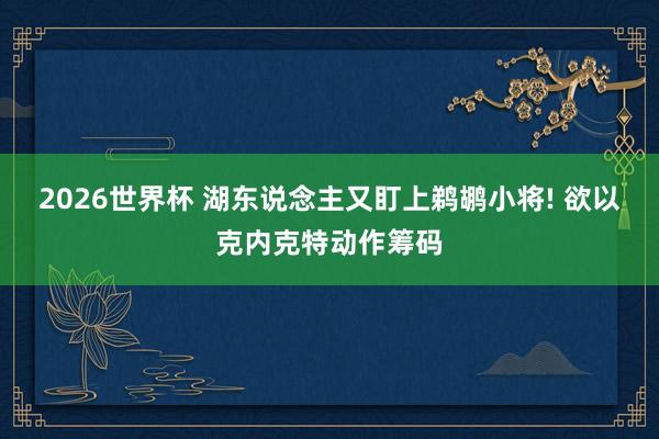 2026世界杯 湖东说念主又盯上鹈鹕小将! 欲以克内克特动作筹码