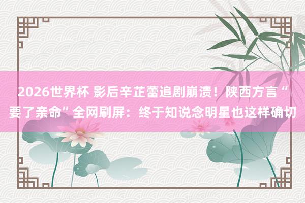 2026世界杯 影后辛芷蕾追剧崩溃！陕西方言“要了亲命”全网刷屏：终于知说念明星也这样确切