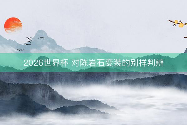 2026世界杯 对陈岩石变装的别样判辨