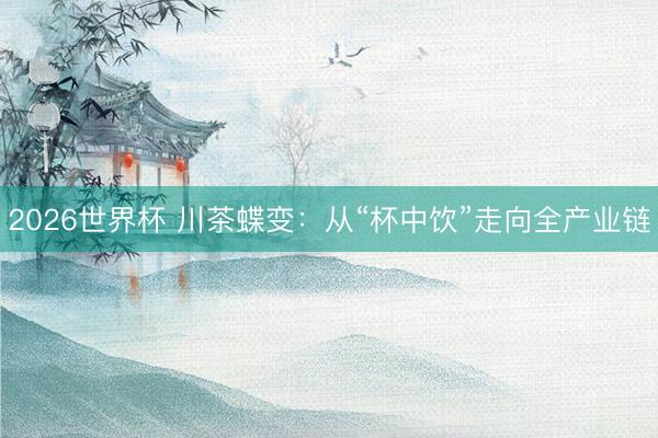 2026世界杯 川茶蝶变：从“杯中饮”走向全产业链