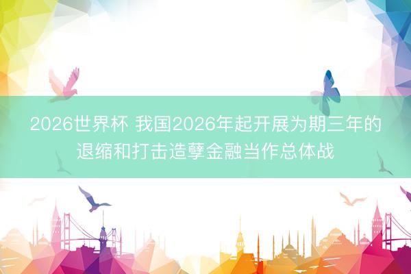 2026世界杯 我国2026年起开展为期三年的退缩和打击造孽金融当作总体战