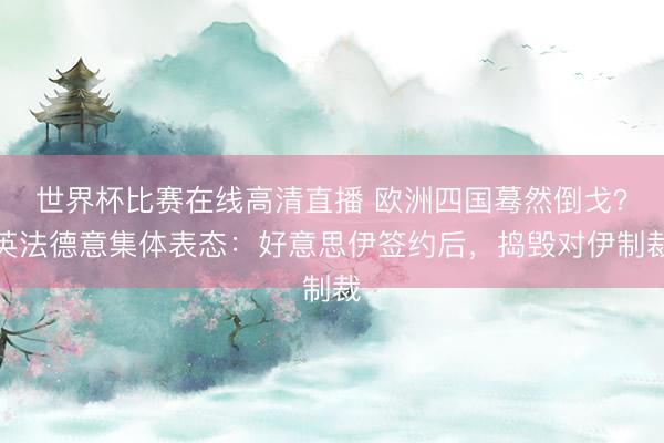 世界杯比赛在线高清直播 欧洲四国蓦然倒戈？英法德意集体表态：好意思伊签约后，捣毁对伊制裁